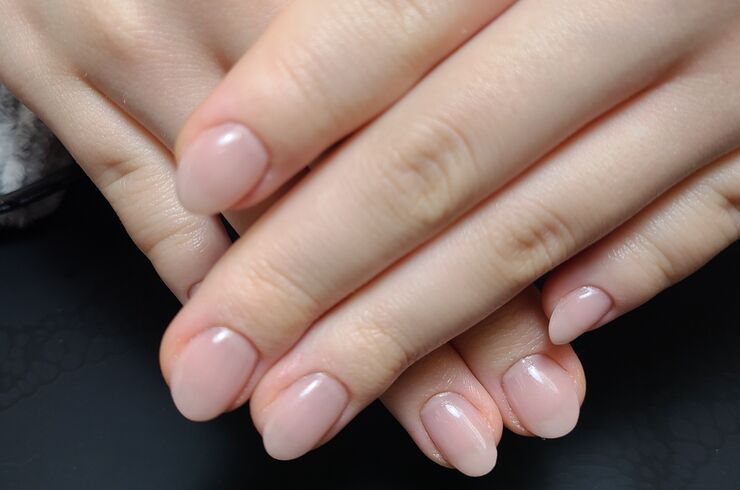 自爪育成　ワンカラー