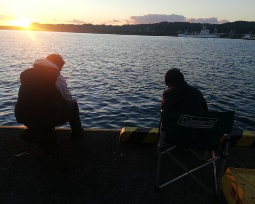 IMG_20210102_163232_BURST001_COVER